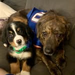 Brooks & Boone - @brooks_n_boone - Instagram