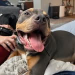 Bowser Brooks - @bowserbrooks_ - Instagram