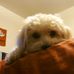 Brooks Boyer - Facebook