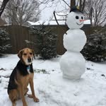 Brooks Stone - @brooksburgessstone - Instagram