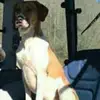 brooksbyrd491 - @brooksbyrd491 - TikTok