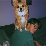 Brooks Knight - @brooks.knight - Instagram