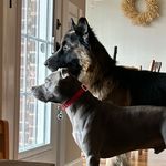 Brooks & Riggs Larson - @thebullandthebear_ - Instagram