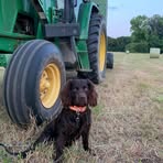 Brooks Martin - Facebook