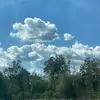 Pamela Brooks McCorkle - @pamela.brooks.mcco - TikTok