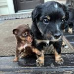 Brooks Patterson - @brooks.patterson - Instagram