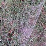Warren Brooks - @warren.brooks.7967 - Instagram