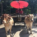 Bruce Aiken - @bruceaiken1 - Instagram