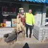 bruceakers2 - @bruceakers2 - TikTok