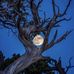 Bruce Albrecht - Facebook