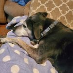 Bruce Aldrich - @aldrichbruce - Instagram