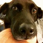 Bruce D Aldrich - @brucealdrich - Instagram