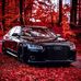 Bruce Allein - Facebook