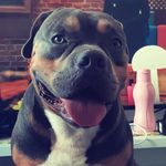 Bruce Almeida - @oimeunome.ebruce - Instagram