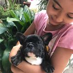 Bruce Almeida Santos - @o_bruce_bulldog - Instagram
