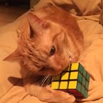 Bruce Alter - @brucealter - Instagram