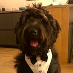 Bruce Walter - @bruce_walter_traverso - Instagram