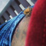 Bruce Alvarez - @dynamicbruce - Instagram