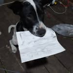 Bruce Ambrose - @bruce.ambrose.509 - Instagram