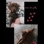 Princesa_Bruce_ Amendoim - @princesa_bruce_amendoim - Instagram