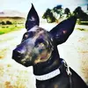 Bruce E. James - @brucee.james - TikTok