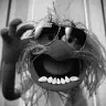 Bruce Hammons - @brucehammons - TikTok