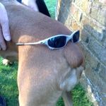 Bruce Amos - @bruce.amos.14 - Instagram