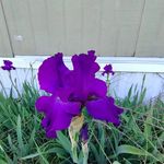 Bruce Amos Gordon - @bruce.4142 - Instagram