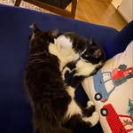 Bruce & ollie x - @bruce_and_olls - Instagram