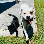 Bruce, Oliver, and Hunter - @bruceandoliver - Instagram