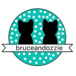 BruceandOzzie - @bruceandozzie - Instagram