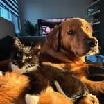 Bruce~Oreo - @bruceandoreo - Instagram