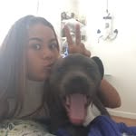 Big Boy Bruce 🐾 Aus // - @bruce_andrea - Instagram