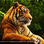 Bruce Andre - @bruce.andre.paris - Instagram