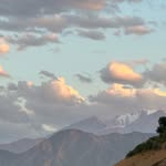 @bruceandre_ - Instagram