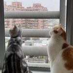 Bruce & Angel - @bruce_and_angel - Instagram