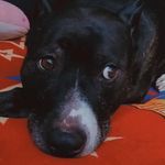 Bruce Angelo 🖤🦴 - @bruce_thex - Instagram
