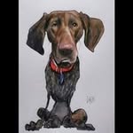 Bruce Angle - @bangle.60 - Instagram