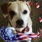 Bruce Anson - Facebook