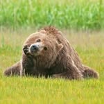 Bruce Bezanson - @brucebezanson - Instagram