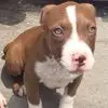 Bruce Li - @bruce.li19 - TikTok