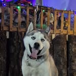 Bruce Antonio - @bruce.antonio_ - Instagram