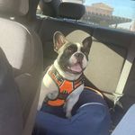 Bruce Antonio Hernandez - @bruceantonio_h - Instagram