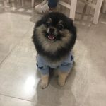 Bruce Antônio Iemini - @bru_antonio_ - Instagram