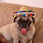 Bruce - @bruceantoniodf - Instagram