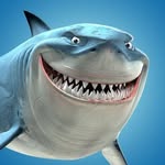 Bruce 🦈 - @jemappellebruce - Instagram