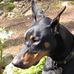 Bruce Arbuckle - Facebook