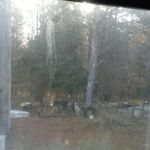 perry bruce arbuckle - @perrybrucearbuckle - Instagram