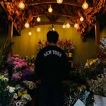 Bruce - @bruce.arceno - Instagram