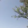 AmanjaArchPlanners - @archbruce1 - TikTok